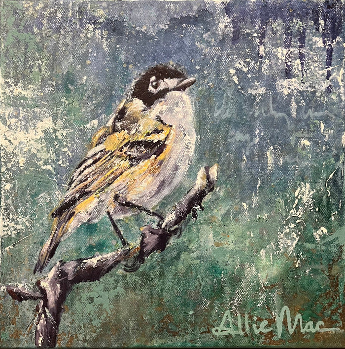 Black Capped Vireo Original Oil Painting